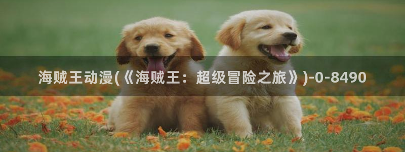 日韩动漫：海贼王动漫(《海贼王：超级冒险之旅》)