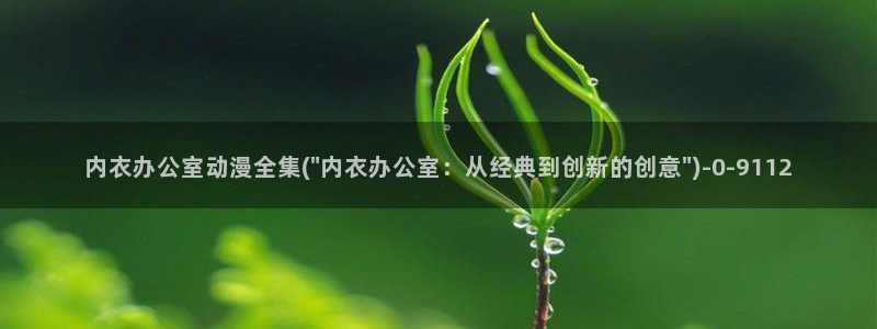 18禁动漫：内衣办公室动漫全集(\