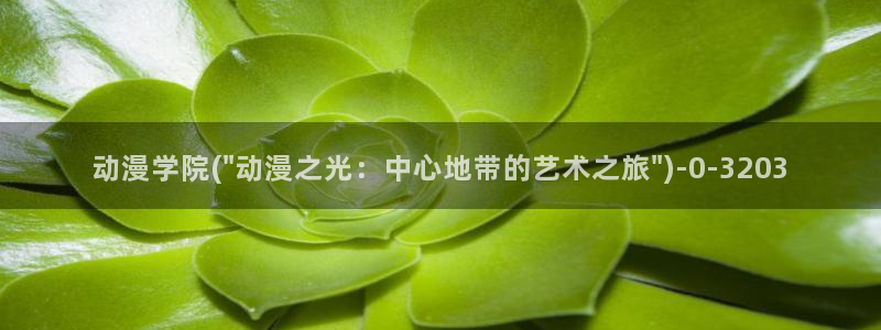 第一动漫