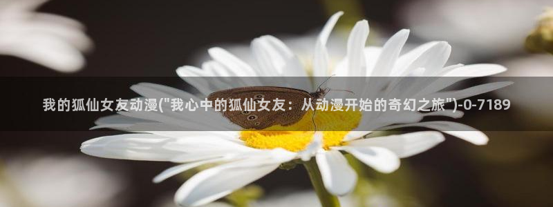 妖精动漫